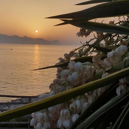Loft In Balestrate Vicino Al Mare - Rental Beb Ngoại thất bức ảnh